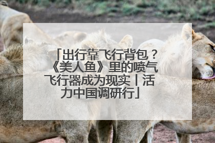 出行靠飞行背包？《美人鱼》里的喷气飞行器成为现实丨活力中国调研行