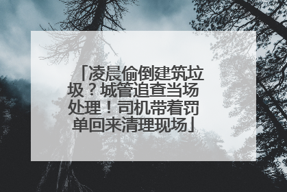 凌晨偷倒建筑垃圾？城管追查当场处理！司机带着罚单回来清理现场