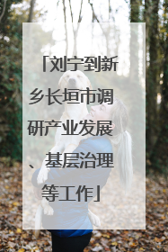 刘宁到新乡长垣市调研产业发展、基层治理等工作