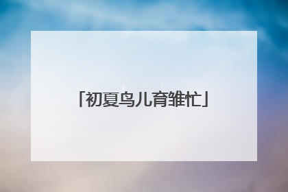 初夏鸟儿育雏忙