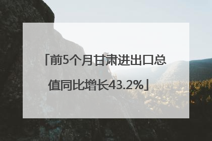 前5个月甘肃进出口总值同比增长43.2%