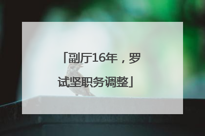 副厅16年，罗试坚职务调整