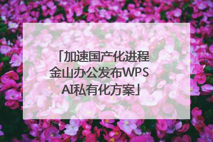 加速国产化进程 金山办公发布WPS AI私有化方案