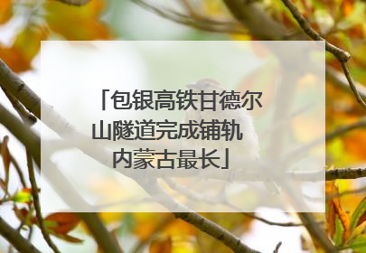 包银高铁甘德尔山隧道完成铺轨 内蒙古最长