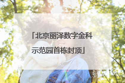 北京丽泽数字金科示范园首栋封顶