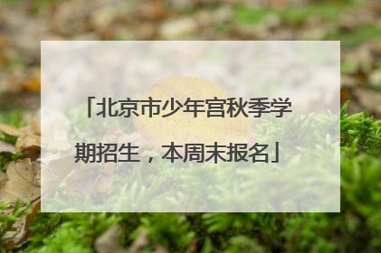 北京市少年宫秋季学期招生，本周末报名