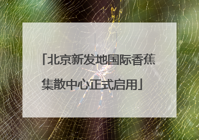 北京新发地国际香蕉集散中心正式启用