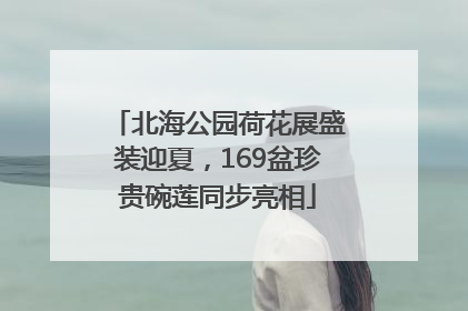 北海公园荷花展盛装迎夏，169盆珍贵碗莲同步亮相