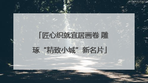 匠心织就宜居画卷 雕琢“精致小城”新名片
