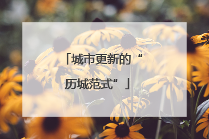 城市更新的“历城范式”