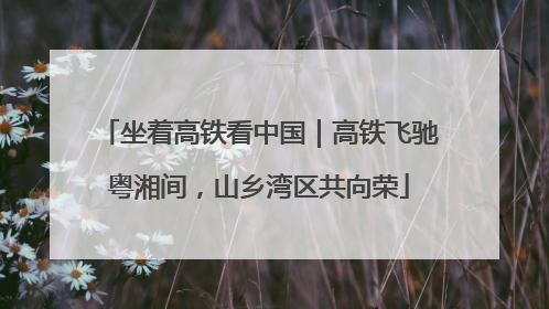 坐着高铁看中国｜高铁飞驰粤湘间，山乡湾区共向荣