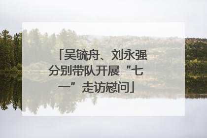 吴毓舟、刘永强分别带队开展“七一”走访慰问