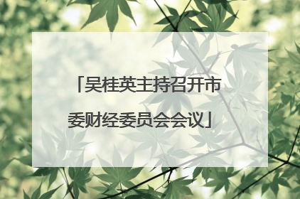 吴桂英主持召开市委财经委员会会议