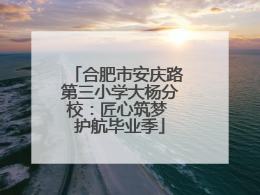 合肥市安庆路第三小学大杨分校：匠心筑梦 护航毕业季