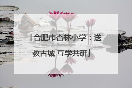 合肥市杏林小学：送教古城 互学共研