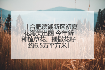 合肥滨湖新区初夏花海美出圈 今年新种植草花、播撒花籽约6.5万平方米