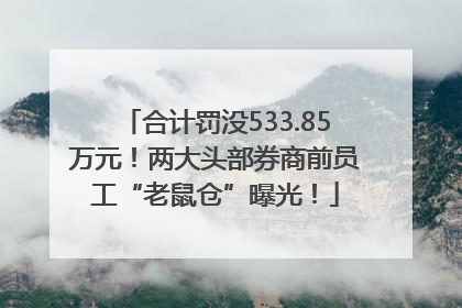 合计罚没533.85万元！两大头部券商前员工“老鼠仓”曝光！