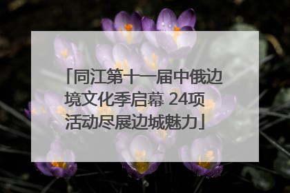 同江第十一届中俄边境文化季启幕 24项活动尽展边城魅力