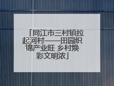 同江市三村镇拉起河村——田园织锦产业旺 乡村焕彩文明浓