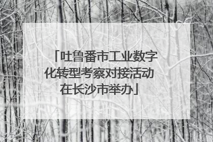 吐鲁番市工业数字化转型考察对接活动在长沙市举办