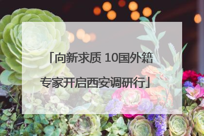 向新求质 10国外籍专家开启西安调研行
