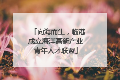 向海而生，临港成立海洋高新产业青年人才联盟