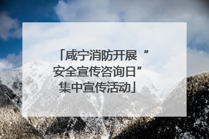 咸宁消防开展“安全宣传咨询日”集中宣传活动
