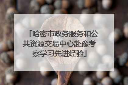 哈密市政务服务和公共资源交易中心赴豫考察学习先进经验