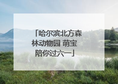 哈尔滨北方森林动物园 萌宝陪你过六一