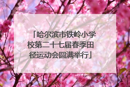 哈尔滨市铁岭小学校第二十七届春季田径运动会圆满举行