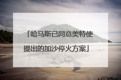 哈马斯已同意美特使提出的加沙停火方案