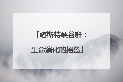 喀斯特峡谷群：生命演化的摇篮