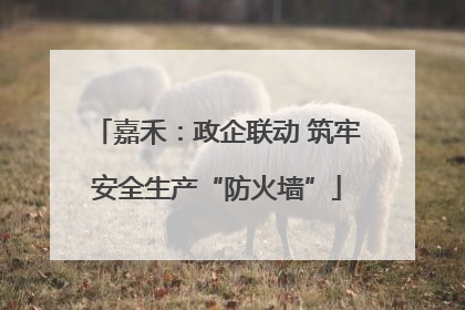 嘉禾：政企联动 筑牢安全生产“防火墙”