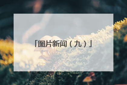 图片新闻（九）