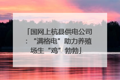 国网上杭县供电公司：“满格电”助力养殖场生“鸡”勃勃