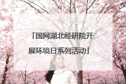 国网湖北经研院开展环境日系列活动