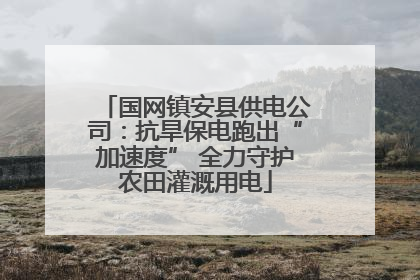 国网镇安县供电公司：抗旱保电跑出“加速度” 全力守护农田灌溉用电