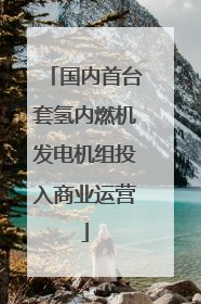 国内首台套氢内燃机发电机组投入商业运营