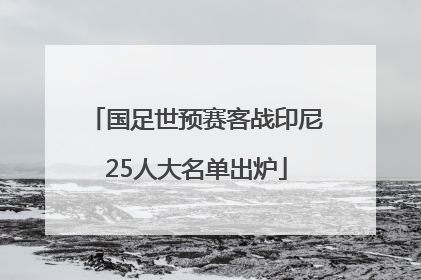国足世预赛客战印尼25人大名单出炉