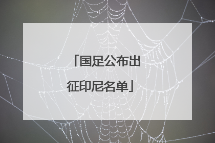 国足公布出征印尼名单