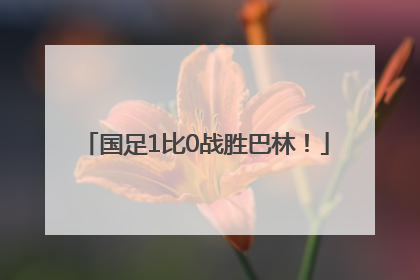 国足1比0战胜巴林！