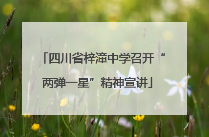 四川省梓潼中学召开“两弹一星”精神宣讲