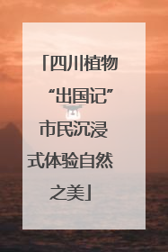 四川植物“出国记” 市民沉浸式体验自然之美
