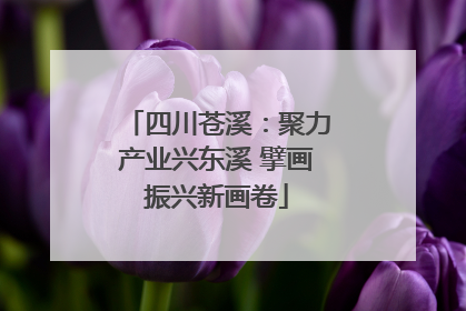 四川苍溪：聚力产业兴东溪 擘画振兴新画卷