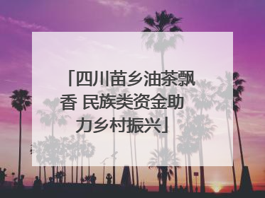 四川苗乡油茶飘香 民族类资金助力乡村振兴