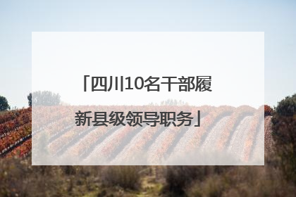四川10名干部履新县级领导职务