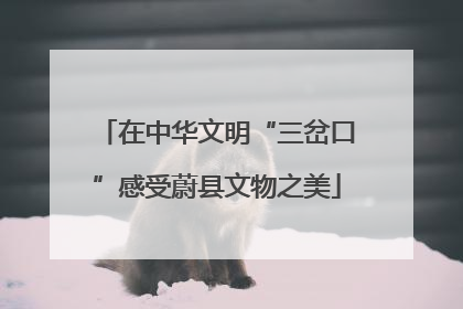 在中华文明“三岔口”感受蔚县文物之美