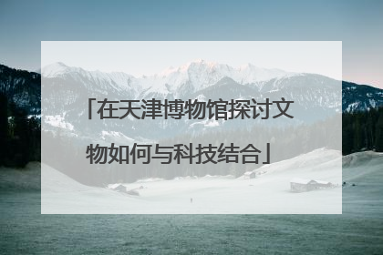 在天津博物馆探讨文物如何与科技结合
