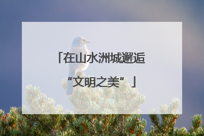 在山水洲城邂逅“文明之美”