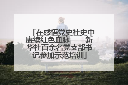 在感悟党史社史中赓续红色血脉——新华社百余名党支部书记参加示范培训